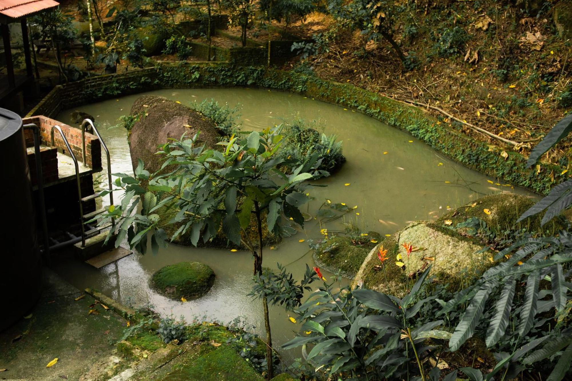 Champaca Villa - Hulu Langat Exteriér fotografie